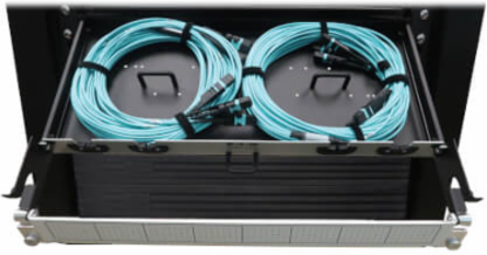 Preloaded Fiber Panel, 1U - 2x (3x8F MTP/MPO-PC F/F) 24F Trunk Cables, OM4 Multimode, 20 m (65.6 ft.)