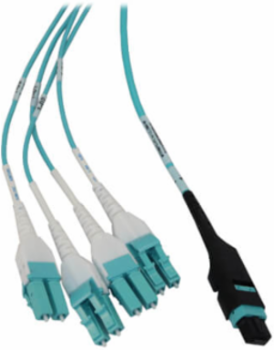Preloaded Fiber Panel, 1U - 2x (12F MTP/MPO-PC to 4x LC Duplex F/M) 8F Trunk Cables, OM4 Multimode, 20 m (65.6 ft.)