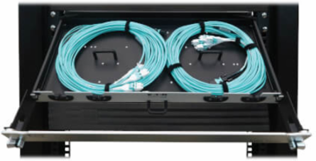 Preloaded Fiber Panel, 1U - 2x (12F MTP/MPO-PC to 4x LC Duplex F/M) 8F Trunk Cables, OM4 Multimode, 20 m (65.6 ft.)