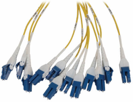 Preloaded Fiber Panel, 1U - 2x (12x LC/LC Duplex M/M) 24F Trunk Cables, OS2 Singlemode, 10 m (32.8 ft.)