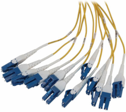 Preloaded Fiber Panel, 1U - 2x (12x LC/LC Duplex M/M) 24F Trunk Cables, OS2 Singlemode, 20 m (65.6 ft.)