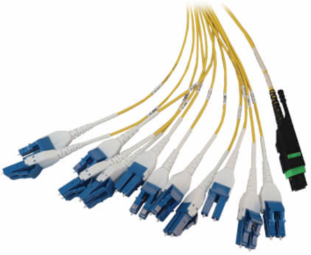 Preloaded Fiber Panel, 1U - 2x (24F MTP/MPO-APC to 12x LC Duplex F/M) 24F Trunk Cables, OS2 Singlemode, 10 m (32.8 ft.)