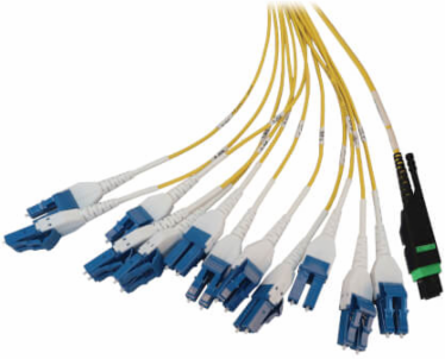 Preloaded Fiber Panel, 1U - 2x (24F MTP/MPO-APC to 12x LC Duplex F/M) 24F Trunk Cables, OS2 Singlemode, 20 m (65.6 ft.)
