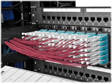 10Gb Duplex Multimode Fiber Patch Cable, 50/125 OM4, 4M (13 ft.), Magenta