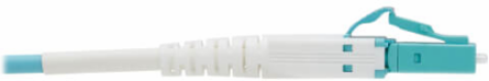 Armored Fiber Optic Cable, Duplex Multimode 50/125 OM4, LC/LC, LSZH, Aqua, 75 m