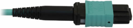 MTP/MPO Fiber Optic Cable, 12 Fiber, Multimode OM3 50/125, M/F, LSZH, Aqua, 5 m (16.4 ft)