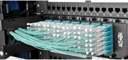 MTP/MPO Fan-out Cable 3M (9.84 ft), Aqua, 12 Fibers, 40GbE OM3 Plenum-rated