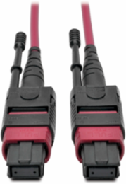 12-Fiber MTP/MPO Multimode Patch Cable, 1M, OM4, Magenta