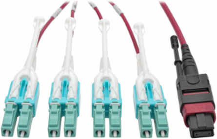1M MTP/MPO to 8xLC Fiber Patch Cable, OM4, 40Gb, Magenta