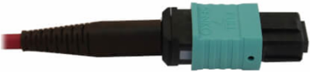 Fiber Optic Cable, MTP/MPO-PC to 4x Duplex SN-PC, 12F Multimode OM4, LSZH, Magenta, 2 m