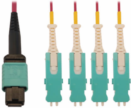 Fiber Optic Cable, MTP/MPO-PC to 4x Duplex SN-PC, 12F Multimode OM4, LSZH, Magenta, 2 m