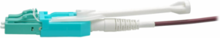 2M MTP/MPO to 8xLC Fan-Out Patch Cable, 40Gb, OM4, Plenum-Rated, Magenta