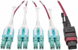 2M MTP/MPO to 8xLC Fan-Out Patch Cable, 40Gb, OM4, Plenum-Rated, Magenta