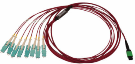 Fiber Optic Cable, MTP/MPO-APC to 8x Duplex SN-PC, 16F Multimode OM4, LSZH, Magenta, 2 m