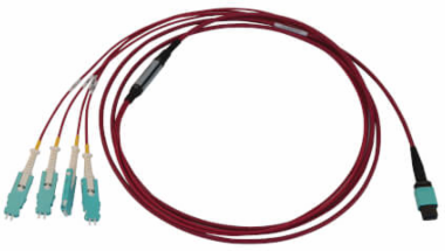 Fiber Optic Cable, MTP/MPO-PC to 4x Duplex SN-PC, 12F Multimode OM4, LSZH, Magenta, 3 m