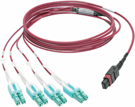 3M MTP/MPO to 8xLC Fan-Out Patch Cable, OM4 Multimode, 40Gb, Magenta