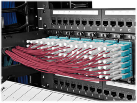 3M MTP/MPO to 8xLC Fan-Out Patch Cable, OM4 Multimode, 40Gb, Magenta