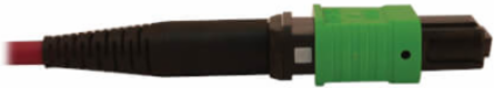 Fiber Optic Cable, MTP/MPO-APC to 8x Duplex SN-PC, 16F Multimode OM4, LSZH, Magenta, 3 m