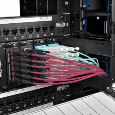 5M OM4 Multimode Patch Cable, 12 Fibers, Magenta, Push/Pull Tabs
