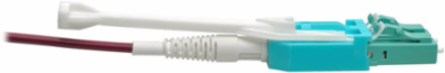 MTP/MPO to 8xLC Fan-Out Patch Cable, 40Gb, OM4, 5M (16.4 ft.), Magenta