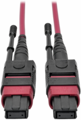 MTP/MPO Multimode Patch Cable, 12 Fiber, 32.8 ft, OM4, Plenum-Rated