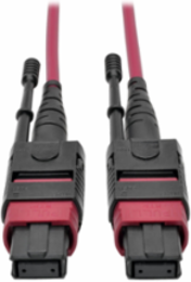 MTP/MPO Multimode Patch Cable, 12 Fiber, 32.8 ft, OM4, Plenum-Rated