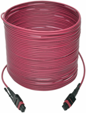 MTP/MPO Multimode Patch Cable, 12 Fiber, 15 Meter, OM4 Plenum-Rated