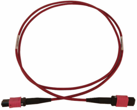 Fiber Optic Cable, MTP/MPO-PC to MTP/MPO-PC F/F, 12F Multimode OM4 50/125, LSZH, Magenta, 1 m