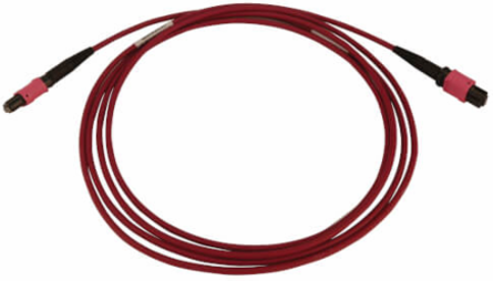 Fiber Optic Cable, MTP/MPO-PC to MTP/MPO-PC F/F, 12F Multimode OM4 50/125, LSZH, Magenta, 2 m