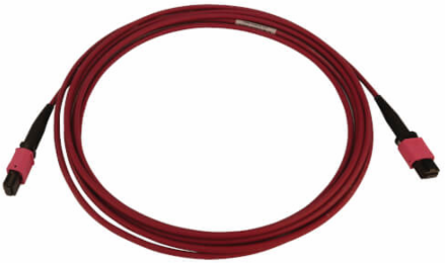 Fiber Optic Cable, 100G Multimode OM4, 12F MTP/MPO-PC F/F, LSZH, Magenta, 3 m