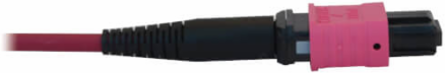Fiber Optic Cable, 100G Multimode OM4, 12F MTP/MPO-PC F/F, LSZH, Magenta, 5 m