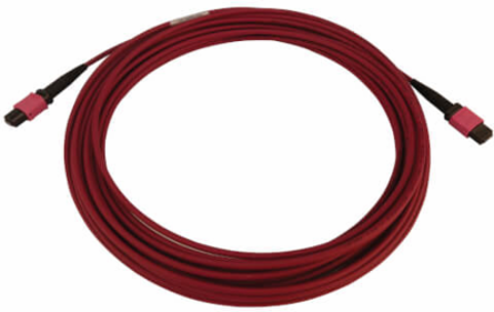 Fiber Optic Cable, 100G Multimode OM4, 12F MTP/MPO-PC F/F, LSZH, Magenta, 10 m