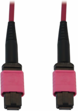 Fiber Optic Cable, 100G Multimode OM4, 12F MTP/MPO-PC F/F, LSZH, Magenta, 10 m