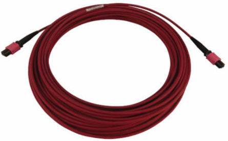 Fiber Optic Cable, 100G Multimode OM4, 12F MTP/MPO-PC F/F, LSZH, Magenta, 15 m