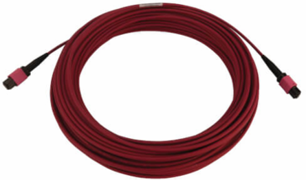 Fiber Optic Cable, 100G Multimode OM4, 12F MTP/MPO-PC F/F, LSZH, Magenta, 20 m