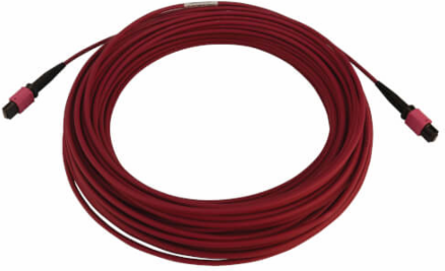 Fiber Optic Cable, 100G Multimode OM4, 12F MTP/MPO-PC F/F, LSZH, Magenta, 25 m