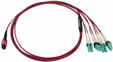 Fiber Optic Cable, 40/100G Multimode OM4, 12F MTP/MPO-PC to 4x Duplex LC/PC F/M, LSZH, Magenta, 1 m