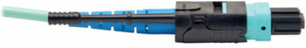 MTP/MPO Patch Cable, 3M Length, 24 Fiber, OM3 Multimode, Aqua