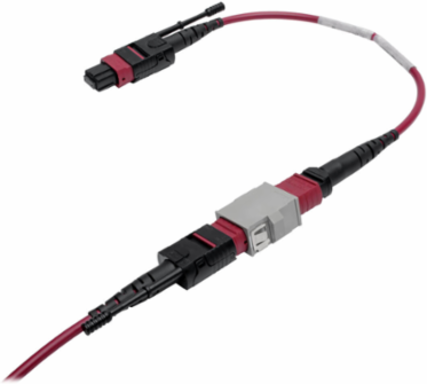 MTP/MPO Base-8 Migration Fiber Adapter, 12 Fiber, 8 Inch, OM4, Magenta