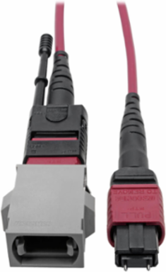 MTP/MPO Base-8 Migration Fiber Adapter, 12 Fiber, 8 Inch, OM4, Magenta