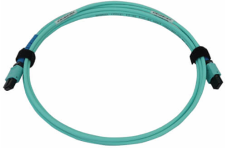 Fiber Optic Cable, 40/100/400G Multimode OM3, 24F MTP/MPO-PC F/F, LSZH, Aqua, 2 m