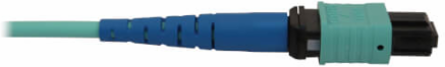 Fiber Optic Cable, 40/100/400G Multimode OM3, 24F MTP/MPO-PC F/F, LSZH, Aqua, 3 m