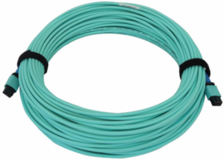 Fiber Optic Cable, 40/100/400G Multimode OM3, 24F MTP/MPO-PC F/F, LSZH, Aqua, 25 m