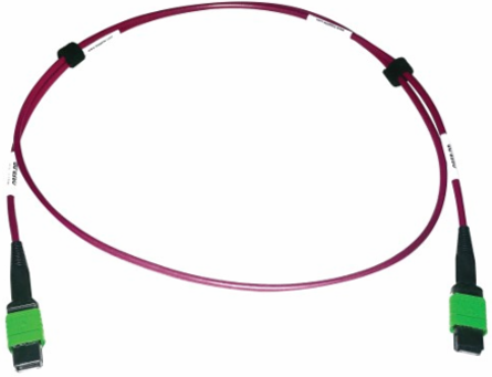Fiber Optic Cable, 400G Multimode OM4, 16F MTP/MPO-APC (F/F), Plenum, Magenta, 1 m