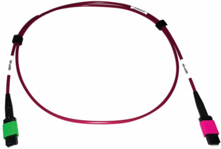 Fiber Optic Cable, 400G Multimode OM4, 16F MTP/MPO-APC to MTP/MPO-UPC (F/F), Plenum, Magenta, 1 m