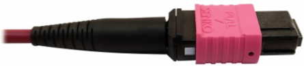 Fiber Optic Cable, 400G Multimode OM4, 16F MTP/MPO-APC to MTP/MPO-UPC (F/F), Plenum, Magenta, 1 m
