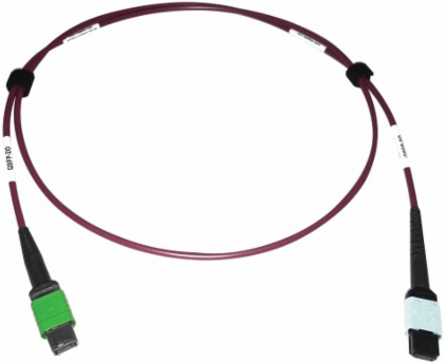 Fiber Optic Cable, 400G Multimode OM4, 16F MTP/MPO-APC to 24F MTP/MPO-UPC (F/F), Magenta, 1 m