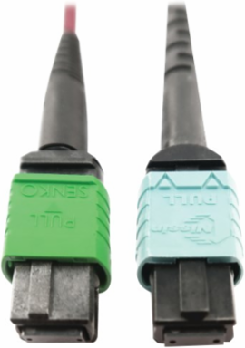 Fiber Optic Cable, 400G Multimode OM4, 16F MTP/MPO-APC to 24F MTP/MPO-UPC (F/F), Magenta, 1 m