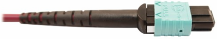 Fiber Optic Cable, 400G Multimode OM4, 16F MTP/MPO-APC to 24F MTP/MPO-UPC (F/F), Magenta, 1 m