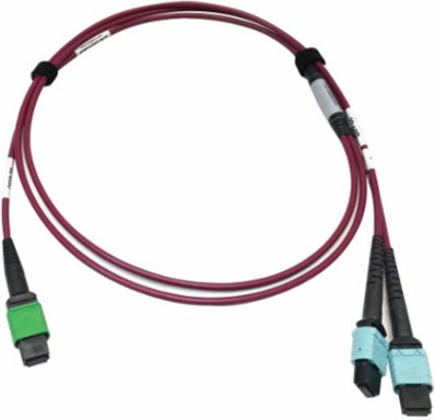 Fiber Optic Cable, 400G Multimode OM4, 16F MTP/MPO-APC to (x2) 12F MTP/MPO-UPC (F/F), Magenta, 1 m